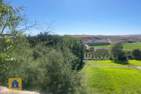 Cave house i Castillejar, Granada, Castillejar - € 99.000 | Ref: cs2207 - foto 48
